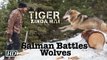 Salman Khan battles wolves | 'Tiger Zinda Hai'