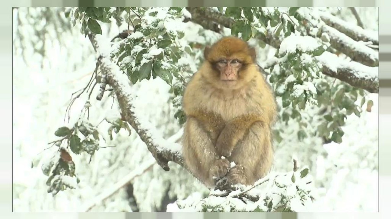 L'Atlas marocain met son manteau blanc