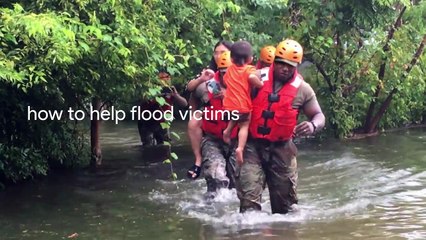 Les tendances 2017 de Google