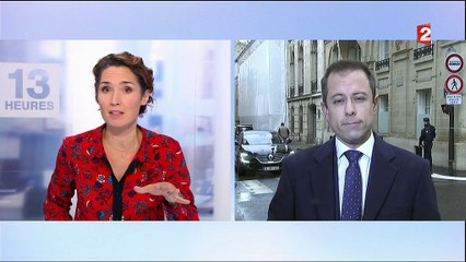 Notre-Dame-des-Landes : le gouvernement va se prononcer d'ici janvier 2018