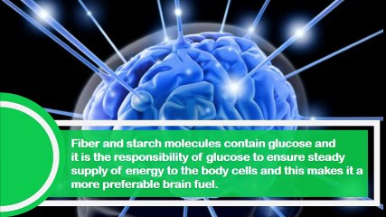 The Different Types of Sugars and their Effect