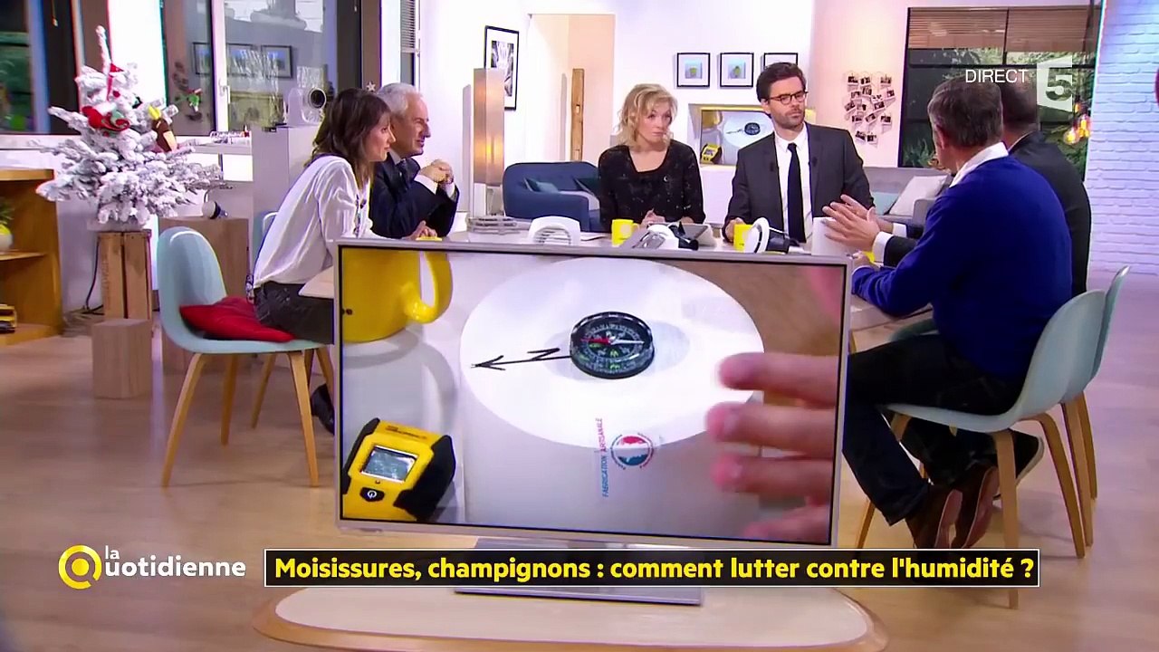 Humidistop – Moisissures, champignons : comment lutter contre l’humidité dans les logements