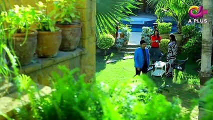 Kambakht Tanno - Episode 243 - 13th December 2017