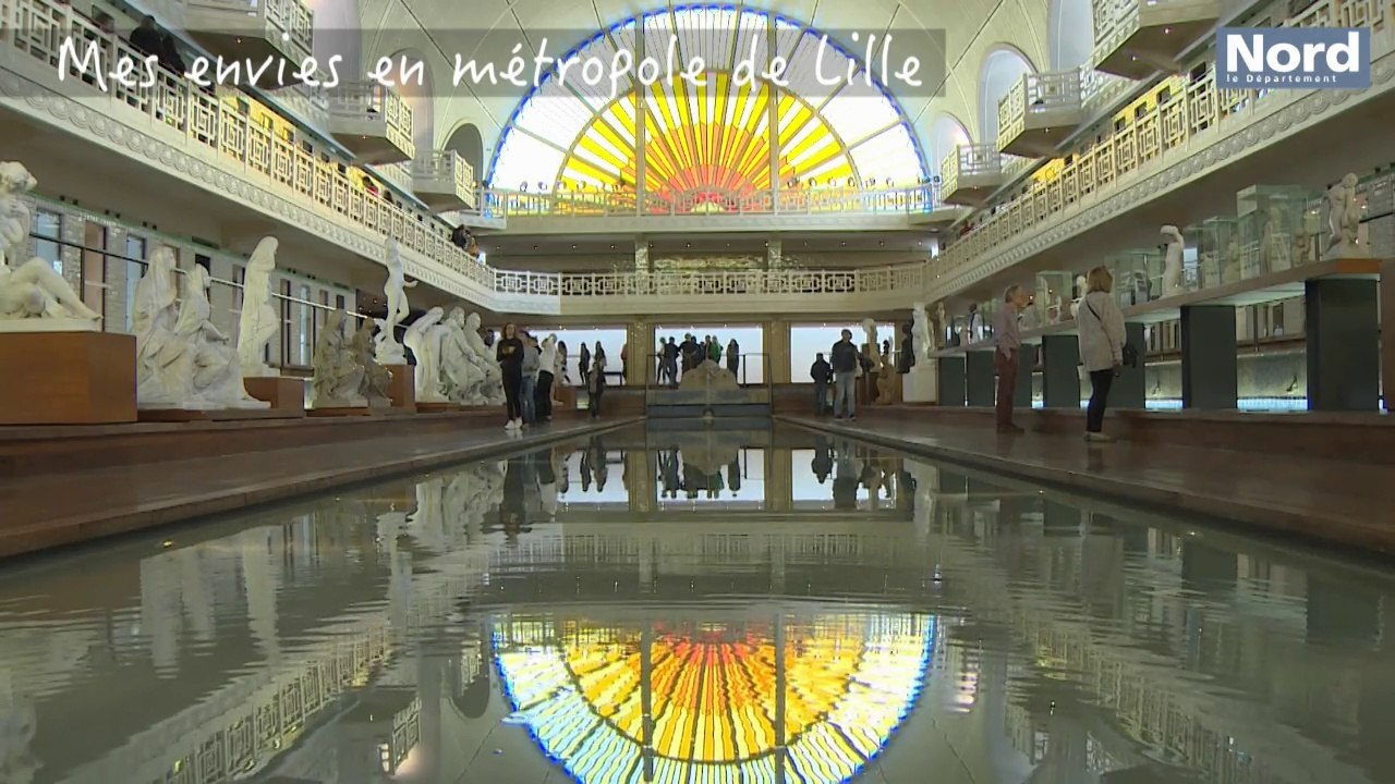 Mes envies en métropole de Lille