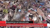 Karaman Sarıveliler’deki bütün sokak hayvanları katledildi