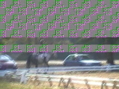 CCE 4B cross+cso+dress Fontenay