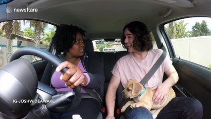 Housekeeper learns to drive a manual car for the first time
