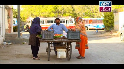 Mubarak Ho Beti Hoi Hai Ep - 11 in High Quality on Ary Zindagi 13th December 2017