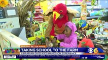 Teacher Turns Classroom into Farm to Encourage Hands-On Learning
