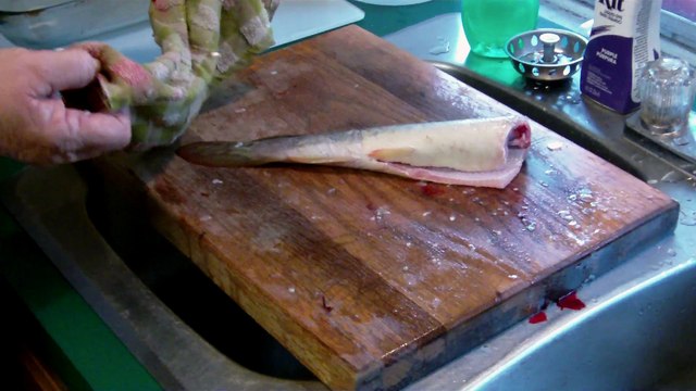 Ce poisson sans tête est encore en vie... Flippant