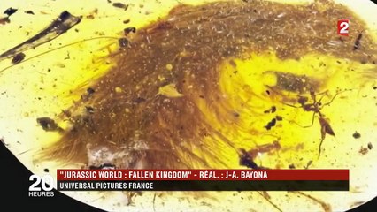 Dinosaures : l'incroyable découverte d'une tique vieille de 100 millions d'années