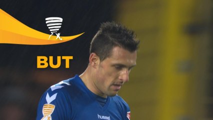 But Jérémy BLAYAC (88ème) / RC Strasbourg Alsace - Paris Saint-Germain - (2-4) - (RCSA-PARIS) / 2017-18