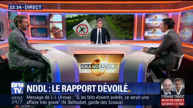 Notre-Dame-des-Landes: Emmanuel Macron doit trancher (2/2)