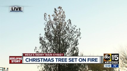 Community coming together to replace Christmas tree set on fire