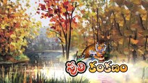 పులి కంకణం _ తెలుగు కథలు _ The Tiger and The Gold Bangle Telugu Stories for Kids-S-BvfidECzI