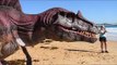 Dinosaurs Come 'Alive' on New South Wales Beach