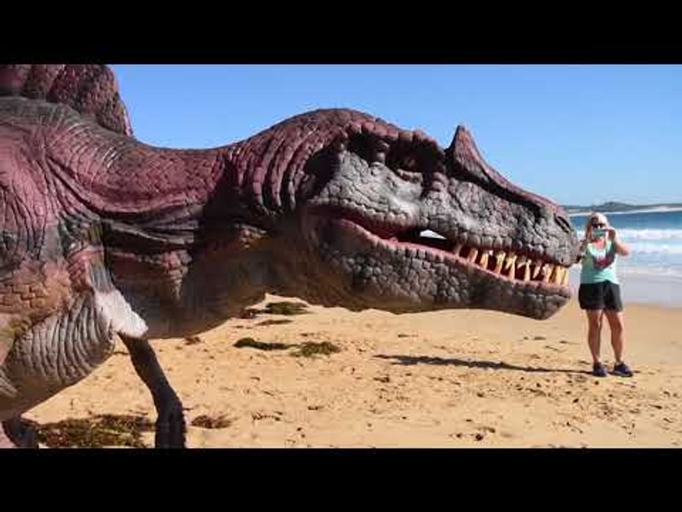 Dinosaurs Come 'Alive' on New South Wales Beach