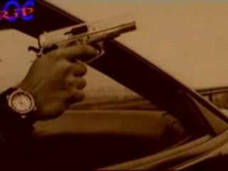 Rado shisharkata-beli ptici