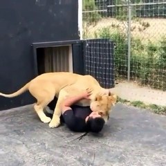 Phòng khám đa khoa Đại Đông - Lion