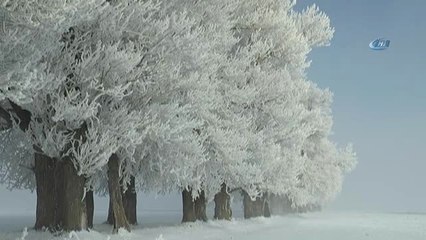 Erzurum'da Düşen Kırağı İzlenmeye Değer Manzaralar Oluşturdu