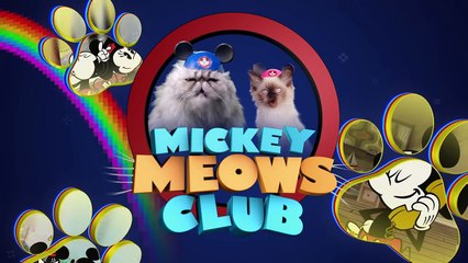 Disney Cats in the Mickey Meows Club - Epic Hero _ Disney-ZxuPA2QsGQU
