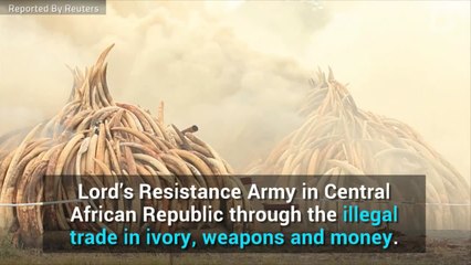 U.S. Treasury Department Sanctions Two Africans In Ivory, Weapons Trade
