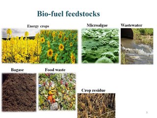 Biofuels Potential and Production Techniques