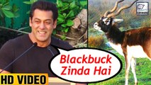 Salman Khan's FUNNY Reaction On Blackbuck Case And Wild Animals