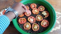 Grow Tomatoes from Tomatoes (Easiest Method Ever With Updates)-23gT5g4k400