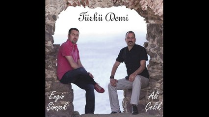 Ali Çelik & Engin Şimşek - Vay Dile Dile (Official Audio)