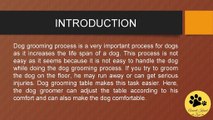 Things to Check before Buying a Dog Grooming Table