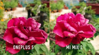 Mi Mix 2 Vs OnePlus 5 Smartphone Camera Comparison-kyBzYegd2sw