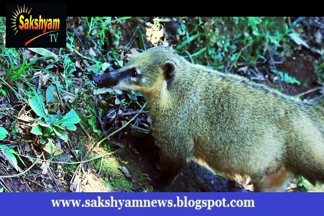 Amazing travel video - 8 months backpacking around the world _ Lu Ka