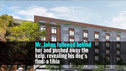 Another Human Foot Washes Ashore in Canada. That Makes 13.