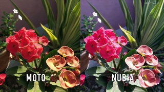 Nubia Z11 Mini S Vs Moto G5 Plus Camera Comparison-cdGULtWLtEI