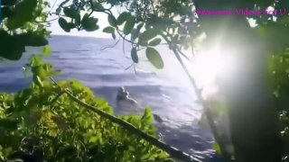 18 REAL LIFE MERMAID FOUND ALIVE CAUGHT ON CAMERA TAPE _ MERMAIDS REAL VIDEO PROOF 2016