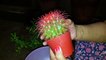 How to Repot Cactus Plant _ Cactus Plant  _ Fun Gardening _ 10 Nov, 2017-yqSMWlgSYaw
