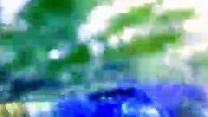 Home and Away 6804 13 December 2017