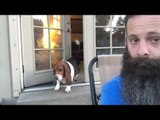 Bossy Basset Hound Gets Vocal