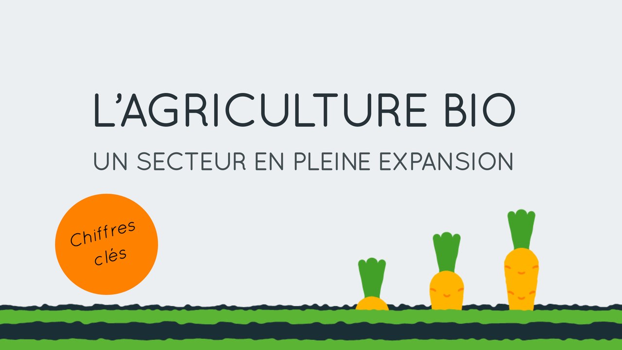 L'agriculture bio, un secteur en plein expansion en France !