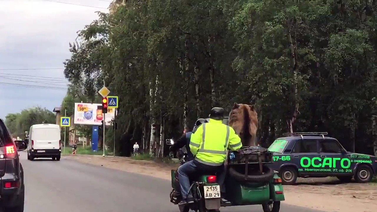 หมีนั่งบนมอเตอร์ไซค์ - Bear ride motorbike