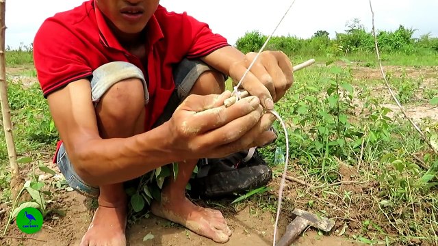 Creative Man Make Best Crocodile Trap Primitive Technology - Big Crocodile Trap Using Duck Work 100%