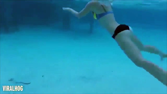 Nô đùa rồi chụp ảnh cùng đàn cá mập dưới biển, cô dâu mới bất ngờ bị loài cá dữ tấn công