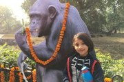 Hindistan'ın En Yaşlı Şempanzesi İçin Renkli Doğum Günü Partisi Düzenlendi