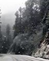 Snowfall In Nathia Gali II Beauty of Nathia Gali