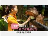 愛玩客-苡喬20110929新竹其實很好玩promo