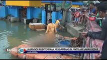 Jasad Bocah Mengambang Ditemukan di Sawah Besar