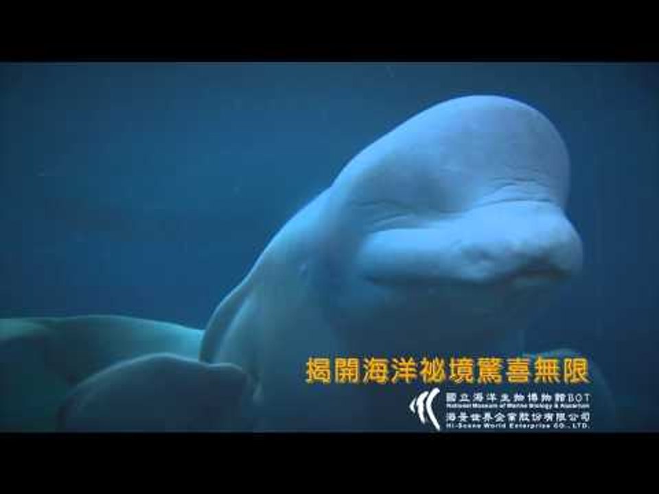2014海生館0623