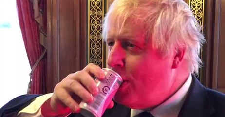 'Yum' - Japanese Foreign Minister Treats Boris Johnson to Some Fukushima Peach Juice