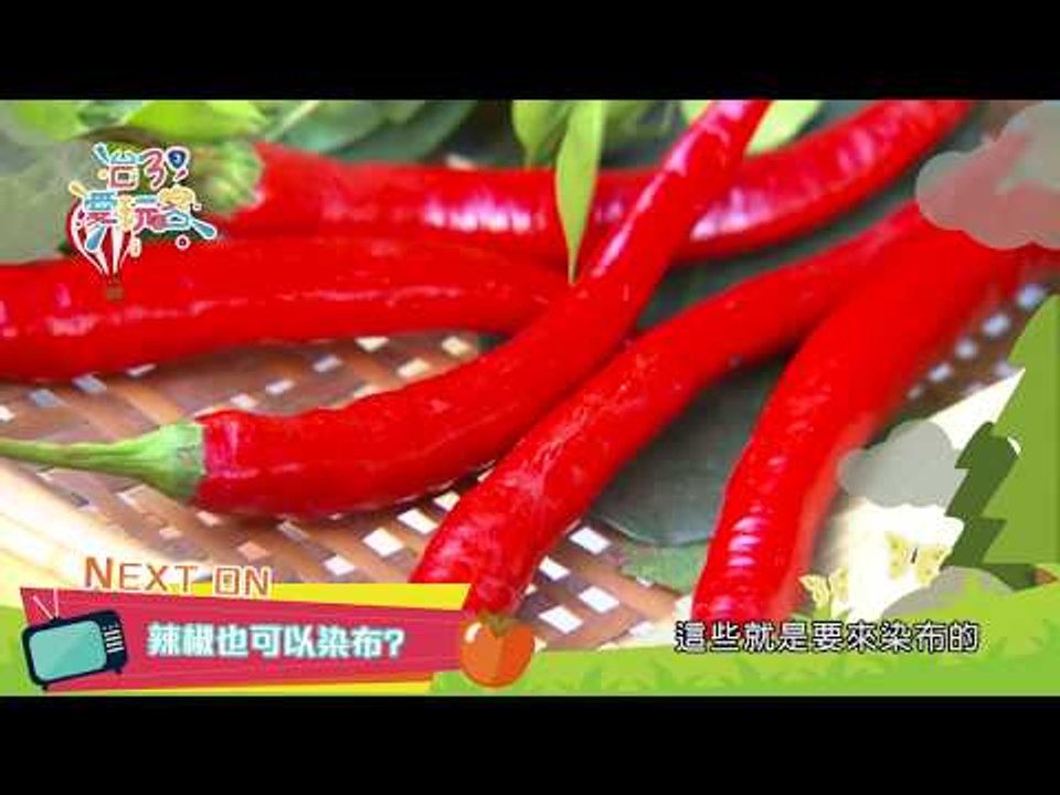 【桃園、新竹】【尋找青年返鄉新熱情！】台3愛玩客第1集